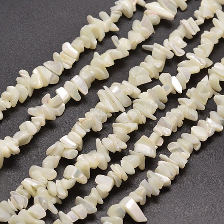 Brins de perle de puce de coquille de nacre blanche naturelle G-M205-63-1