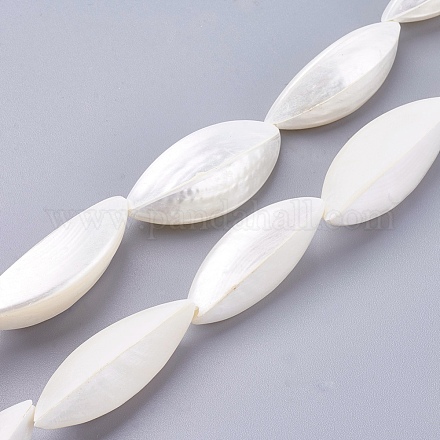 Chapelets de perles en coquille de spirale naturelle BSHE-K012-01-1