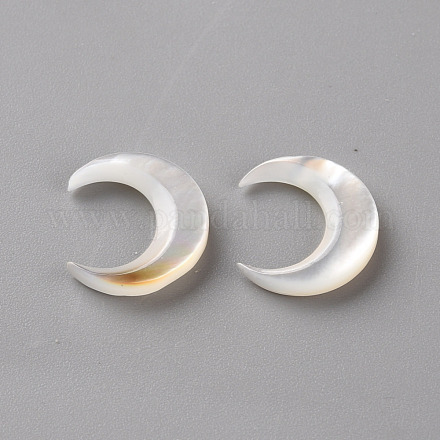 Perles de coquillage blanc naturel SSHEL-Q311-004B-01-1