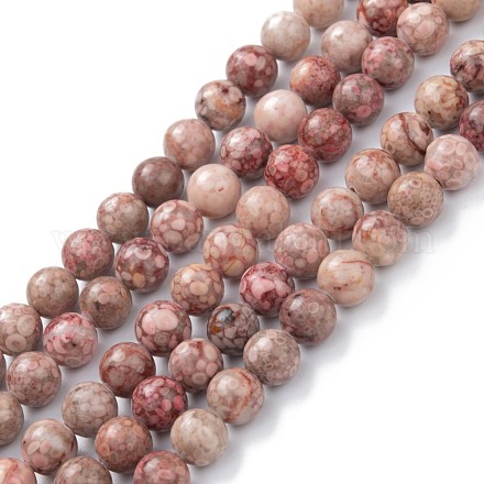Chapelets de perles maifanite/maifan naturel pierre  G-P451-01A-A-1