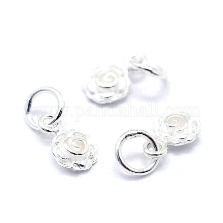 Sterling Silver Charms STER-I016-055S-1