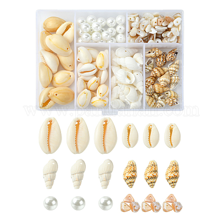 6 styles de perles de coquillages mélangées naturelles BSHE-FS0001-04-1
