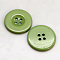 Resin Buttons, Dyed, Flat Round, Dark Sea Green, 22x3mm