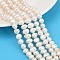 Natural Cultured Freshwater Pearl Beads Strands, Potato, Grade A++, Seashell Color, 7~8mm, Hole: 0.7mm, about 54~55pcs/strand, 14.09~14.37 inch(35.8~36.5cm)