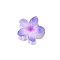 Plastic Claw Hair Clips, Hair Accessories for Women & Girls, Flower, Lilac, 40mm
