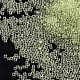 Cuentas de semillas de vidrio transparente fgb SEED-S019-05C-2