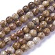 Chapelets de perles en bois pétrifié naturel G-P430-16-B-2