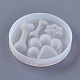 Moldes de silicona DIY-F023-19-2