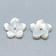 Perles de coquillage blanc naturel SSHEL-S260-051-2