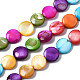Eau douce naturelle de coquillage perles brins SHEL-S278-019A-1
