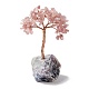 Decorazione dell'esposizione dell'albero di quarzo rosa naturale DJEW-G027-10RG-04-2
