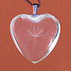 Colgantes de cristal de la aleación del corazón X-GLAA-Q049-20mm-01P-2