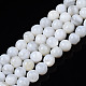 Natural Freshwater Shell Beads Strands BSHE-T009B-01A-1