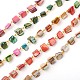 Handmade Sea Shell Beads Chains for Necklaces Bracelets Making AJEW-JB00067-1