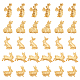 OLYCRAFT 60 Pcs Easter Theme Rabbit Alloy Resin Fillers 5 Styles Epoxy Resin Cabochons Charms for Resin Jewelry Necklace Bracelet Making Hair Clip FIND-OC0001-50-1