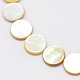 Natural Yellow Shell Beads Strands BSHE-I001-05A-1