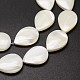 Fili di perle di conchiglia trochid naturale / trochus SSHEL-K009-01-A-3