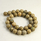 Natural Chrysanthemum Stone/Fossil Coral Beads Strands G-D135-12mm-01-2