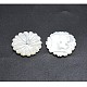 Fleurs naturelles perles de coquillage blanc SSHEL-P015-06-2