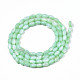 Eau douce naturelle de coquillage perles brins SHEL-N003-25-B03-2