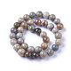 Chapelets de perles de feuille d'argent en jaspe naturel G-I244-02C-2
