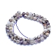 Natural Chevron Amethyst Beads Strands G-L552H-06A-3