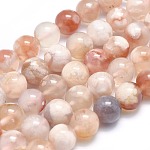 Chapelets de perles en agate naturelle de fleurs de cerisier, ronde, 8.5~9mm, Trou: 0.7mm, Environ 47 pcs/chapelet, 15.5 pouce (39.5 cm)