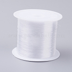 Fishing Thread Nylon Wire, Clear, 0.2mm, about 109.36 yards(100m)/roll