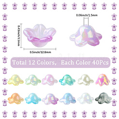 480 Stück 12 Farben Acrylperlenkappen&nbsp;OACR-SC0002-31