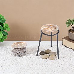 Decorazioni per espositori in conchiglia naturale&nbsp;DJEW-WH0042-143D