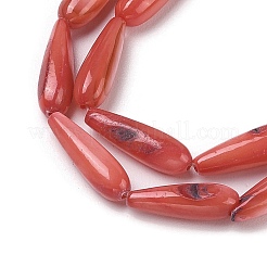 Naturali di acqua dolce perline shell fili&nbsp;SHEL-A004-03F