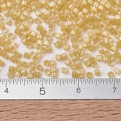 Miyuki Delica Perlen&nbsp;X-SEED-J020-DB1801