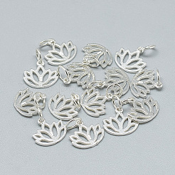 Encantos de plata 925 esterlina&nbsp;X-STER-T002-277S