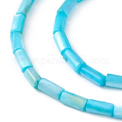 Hebras de cuentas teñidas de concha natural de agua dulce&nbsp;SHEL-M018-11-04