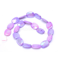Brins de perles de coquillage d'eau douce naturelles plaquées couleur ab&nbsp;SHEL-S253-10