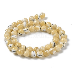 Fili di perline di conchiglia trochus naturale&nbsp;BSHE-P033-03A
