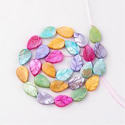 Shell perle naturali di acqua dolce&nbsp;SHEL-Q008-06