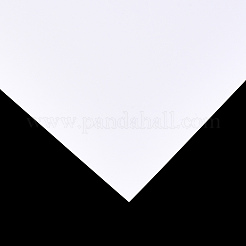 Papier photographique double face&nbsp;AJEW-N001-11