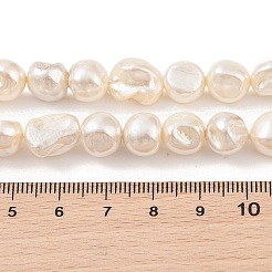 Fili di perle di conchiglie galvanizzate&nbsp;BSHE-C006-01C