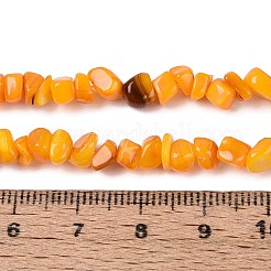 Eau douce naturelle de coquillage perles brins&nbsp;SHEL-N037-04G