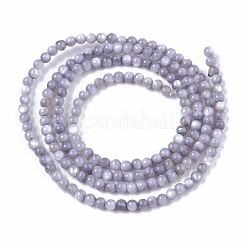 Naturali di acqua dolce perline shell fili&nbsp;BSHE-T009-01