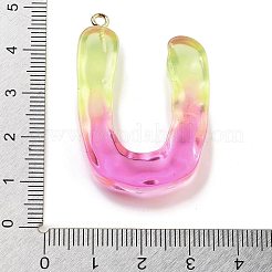 Pendentif en résine&nbsp;FIND-Q107-01U-03