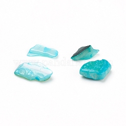 Perles de coquillages naturels d'eau douce&nbsp;X-BSHE-I011-03B
