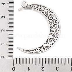 Tibetischer stil Aluminium Anhänger & Charms&nbsp;X-TIBEP-R304-001AS-LF