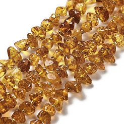 Perles d'ambre naturel brins&nbsp;G-L095-K01-02