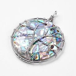 Abalone Shell / Paua Shell große Anhänger&nbsp;KK-P118-01P