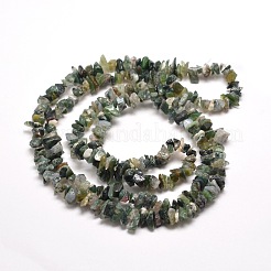 Naturmoosachat Chip Bead Stränge&nbsp;X-G-M205-45