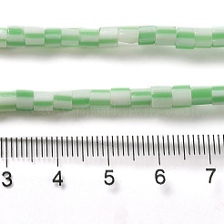Handgemachte nepalesische Bunte Malereiperlen&nbsp;LAMP-B023-04A-03