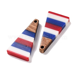 Pendentifs en résine rayée opaque et bois de noyer du jour de l'indépendance&nbsp;RESI-U010-01F