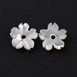 Natürlichen weißen Muschelperlen&nbsp;SHEL-F002-04